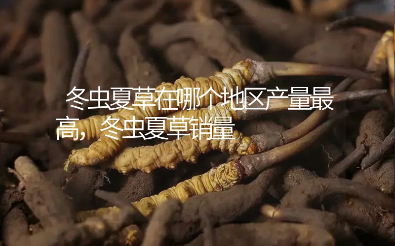 冬蟲夏草在哪個地區(qū)產(chǎn)量最高，冬蟲夏草價(jià)格多少錢一克