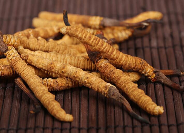 什么樣的冬蟲(chóng)夏草算是優(yōu)質(zhì)的？