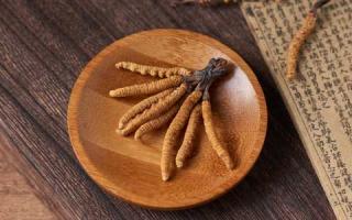 一看就知道，這才是真正的新鮮冬蟲夏草！