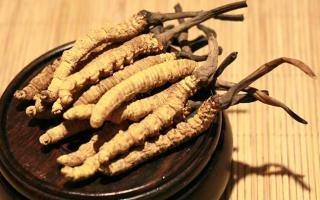 冬蟲夏草的價格一克：為何如此昂貴？