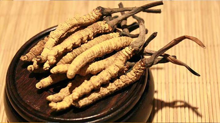 未來冬蟲夏草會(huì)漲價(jià)嗎？