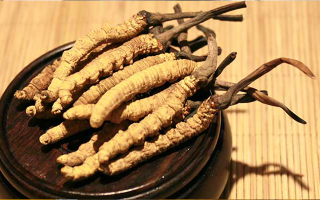 未來冬蟲夏草會(huì)漲價(jià)嗎？