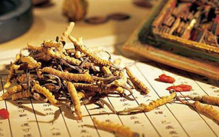 同仁堂健康冬蟲夏草：傳承品質，饋贈健康
