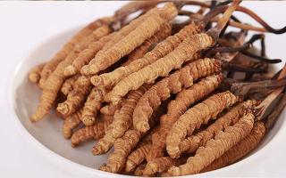 冬蟲夏草適合所有人群?jiǎn)?？一文揭?> </div>
            <div   id=