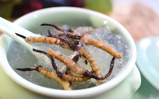 什么時(shí)候吃冬蟲(chóng)夏草好
