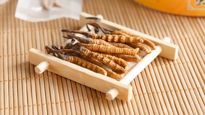 冬蟲夏草可以干燥存放嗎？科學(xué)儲存方法與注意事項(xiàng)